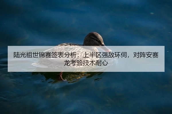 lu-guang-zu-shi-jin-sai-qian-biao-fen-xi-shang-ban-qu-qiang-di-huan-si-dui-zhen-an-sai-long-kao-yan-ji-shu-nai-xin-2-642.jpg